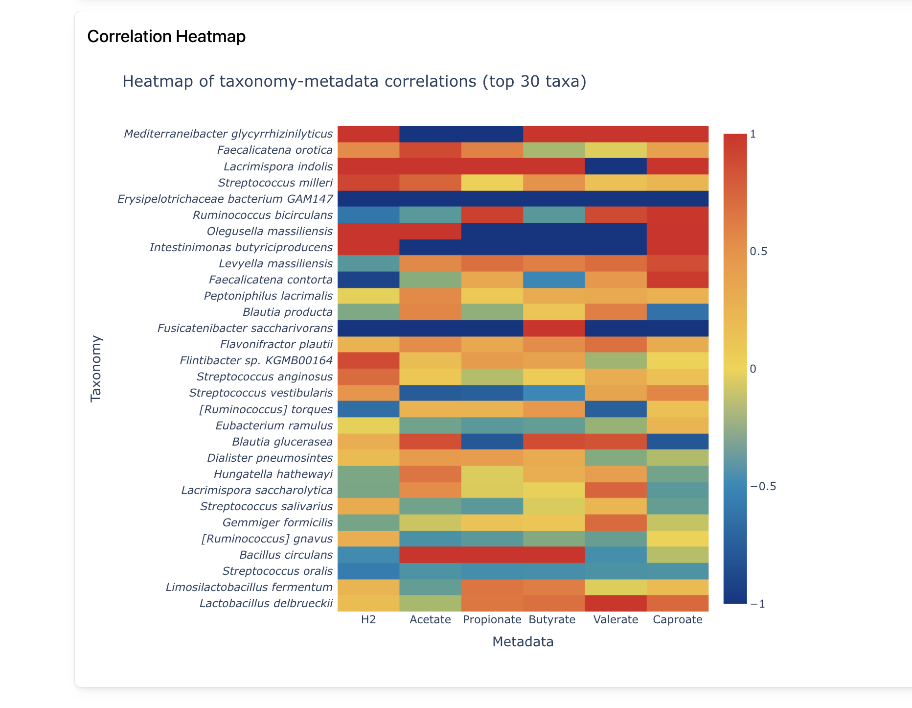 Correlations Dashboard Preview